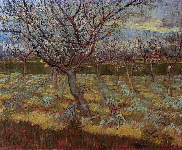 Apricot Trees in Bloom, Vincent van Gogh painting