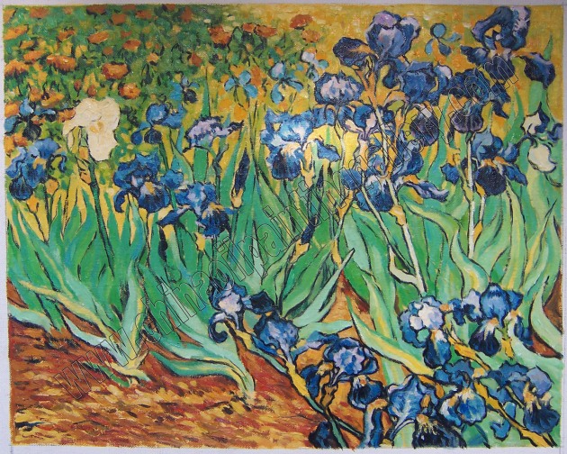 Irises, Oil painting reproduction