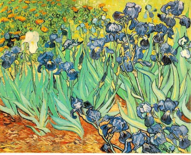 Irises, Vincent van Gogh painting